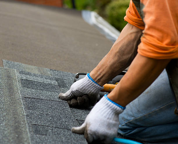 Best Roof Inspection Near Me  in Harrison, MI