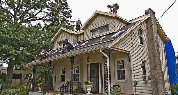 Best Gutter Installation and Roofing  in Harrison, MI